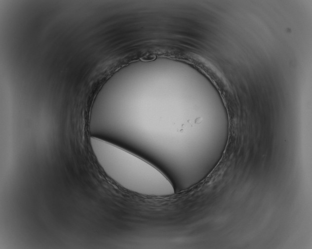 X0000088231111200705151043