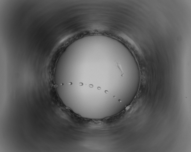 X0000088231112200705151043