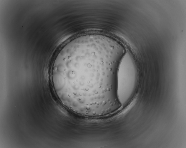 X0000088231113200705151043