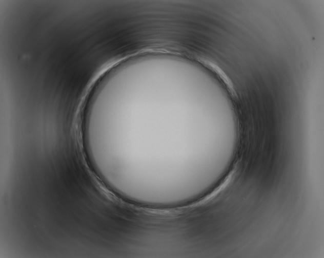 X0000088231114200705151043