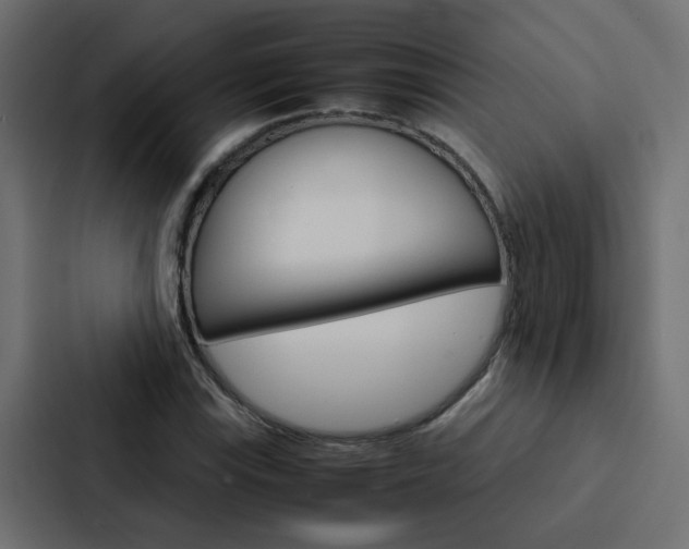 X0000088231115200705151043
