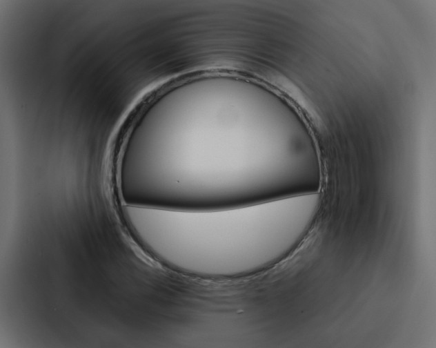 X0000088231116200705151043