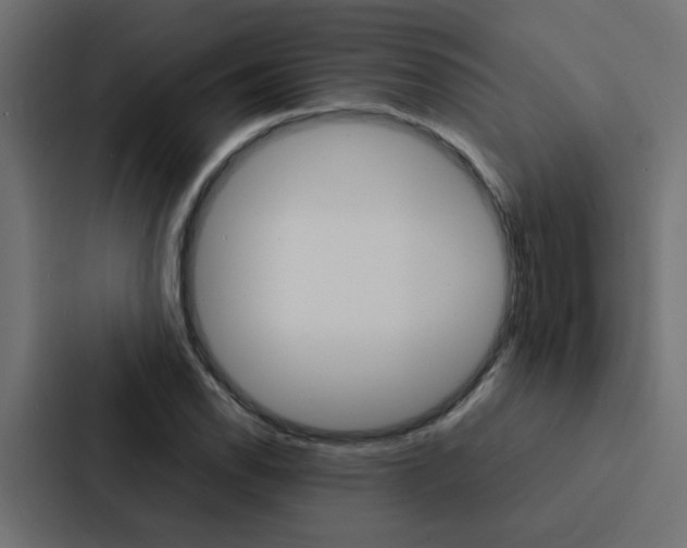X0000088231118200705151043
