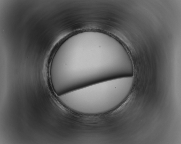 X0000088231119200705151043