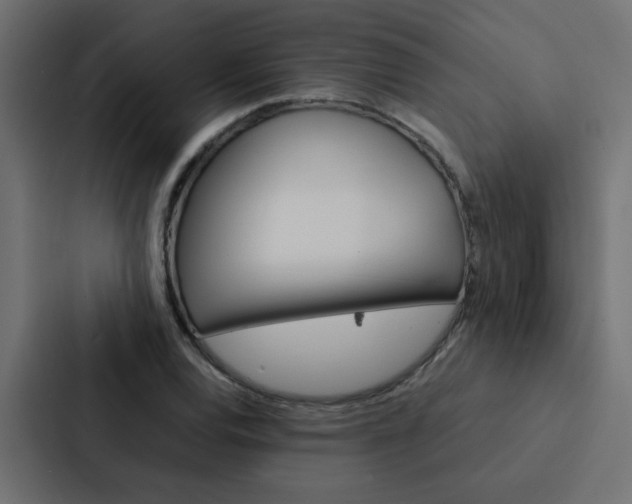 X0000088231120200705151043