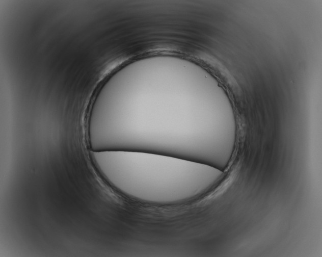 X0000088231121200705151043