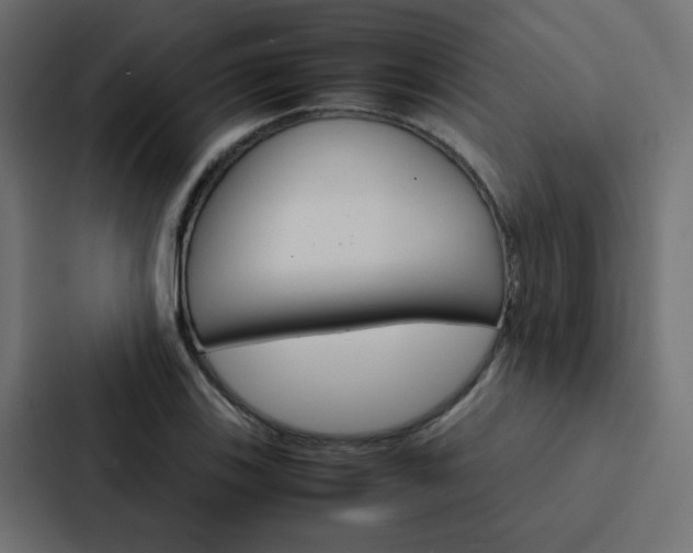 X0000088231123200705151043