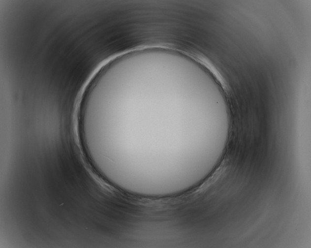 X0000088231124200705151043