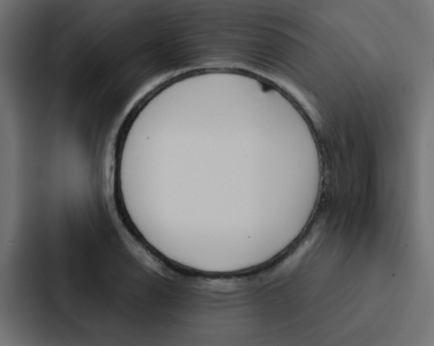 X0000088231126200705151043