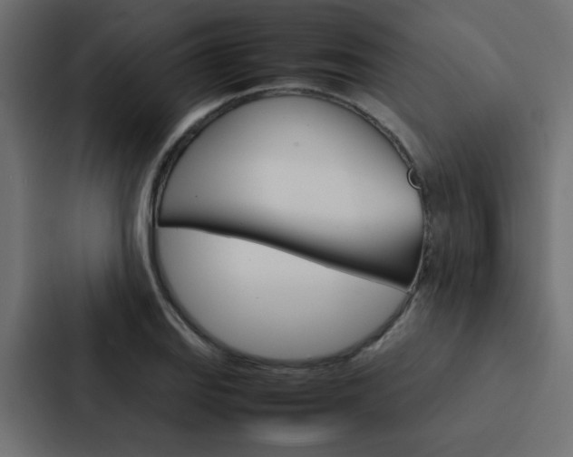 X0000088231127200705151043