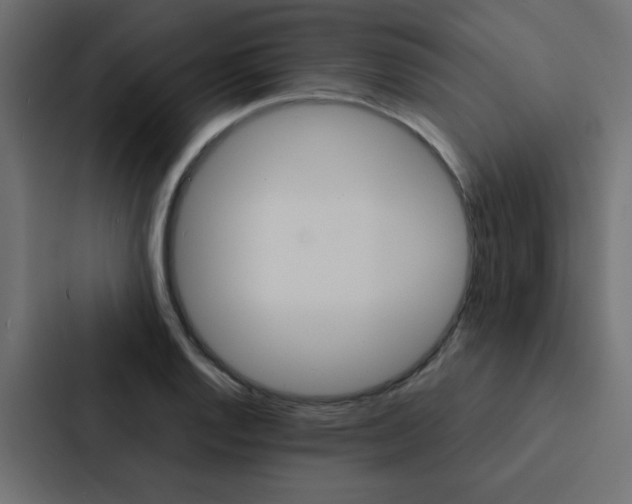 X0000088231128200705151043