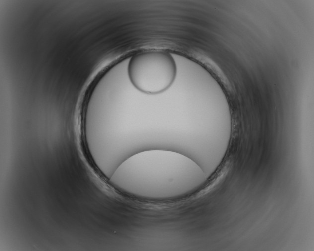 X0000088231130200705151043