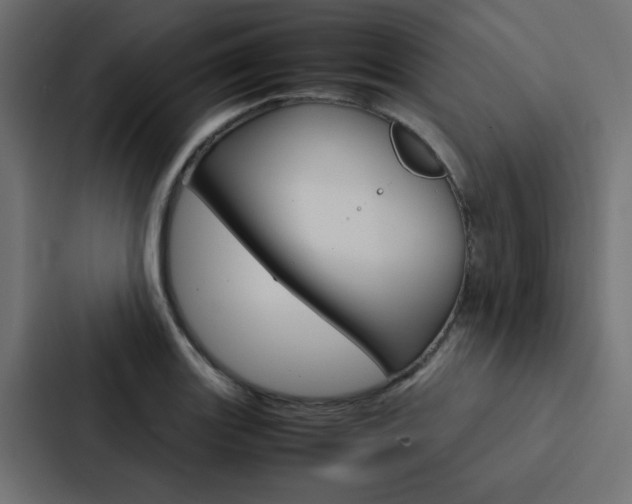 X0000088231131200705151043