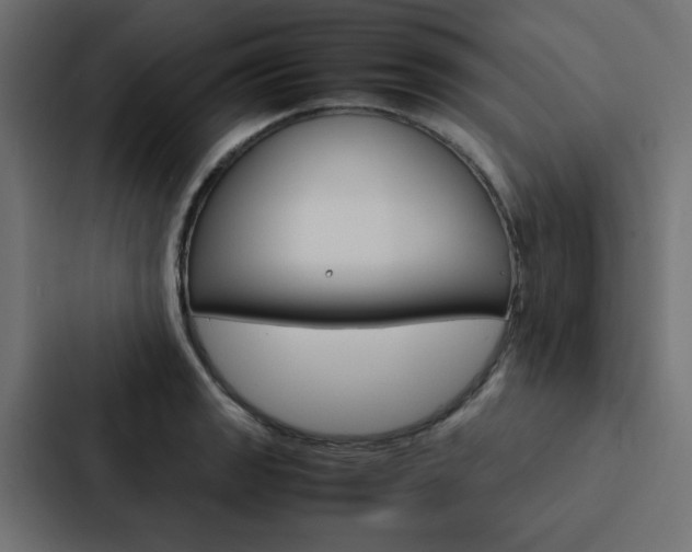 X0000088231133200705151043