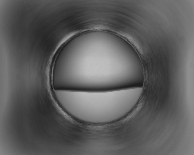 X0000088231134200705151043