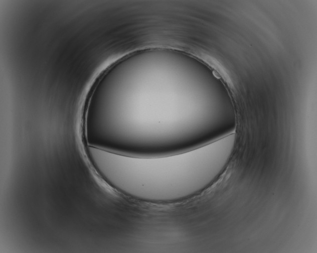 X0000088231136200705151043