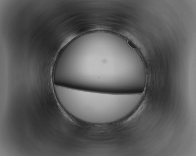 X0000088231137200705151044
