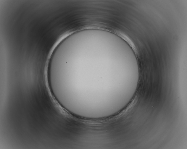 X0000088231138200705151044