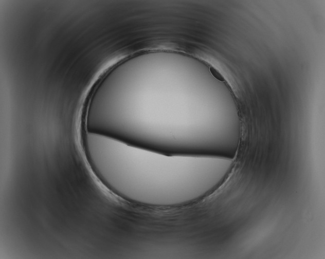 X0000088231139200705151044