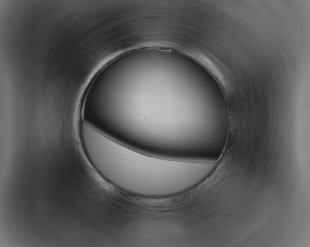 X0000088231140200705151044