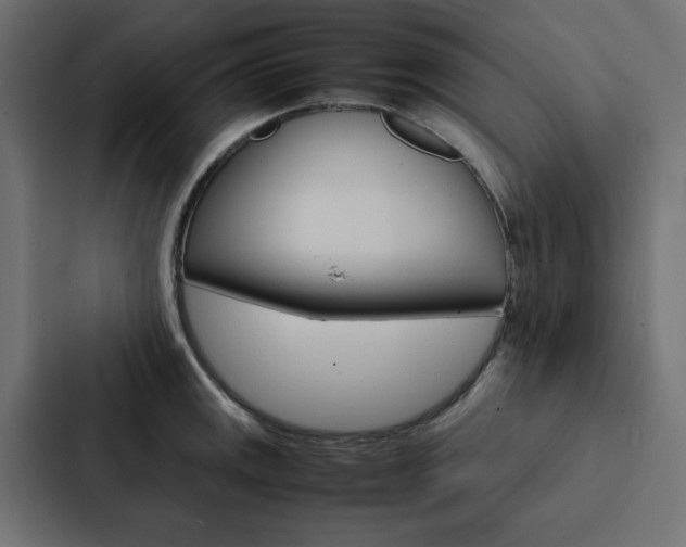 X0000088231141200705151044