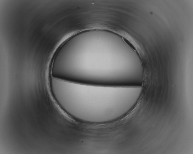 X0000088231142200705151044