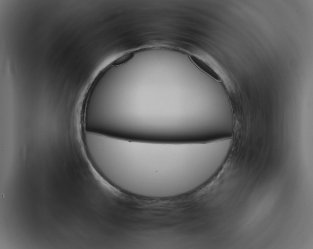 X0000088231143200705151044
