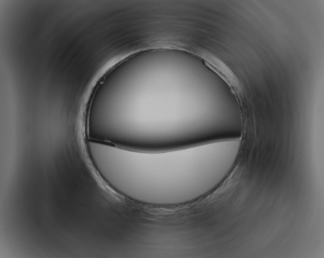 X0000088231144200705151044