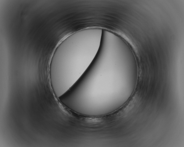 X0000088231145200705151044