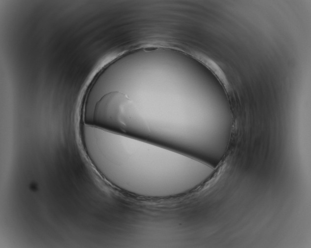 X0000088231146200705151044