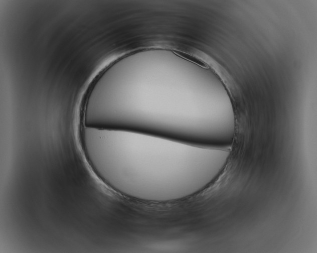 X0000088231147200705151044