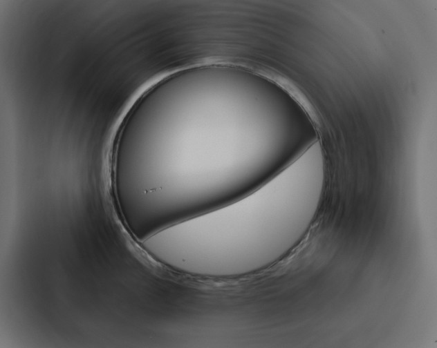 X0000088231148200705151044