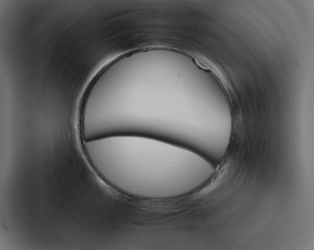 X0000088231149200705151044