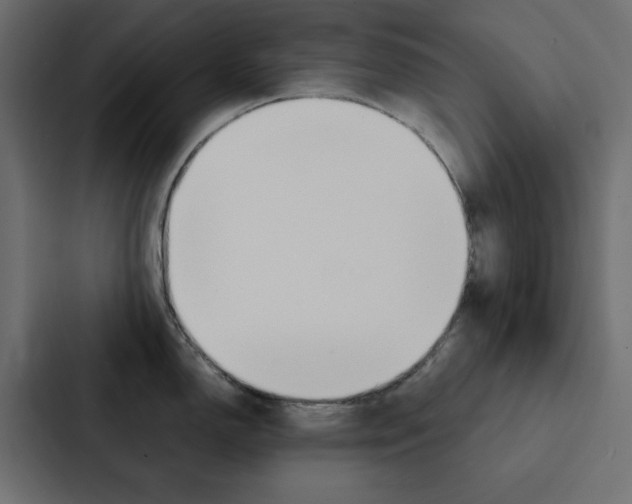 X0000088231150200705151044