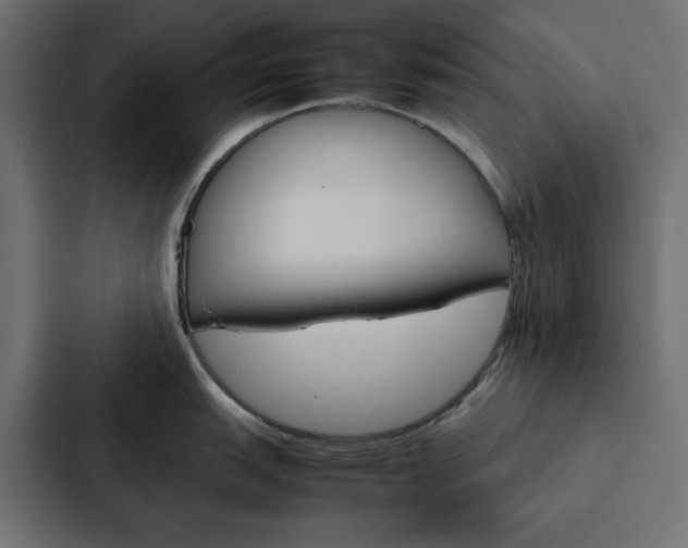 X0000088231151200705151044