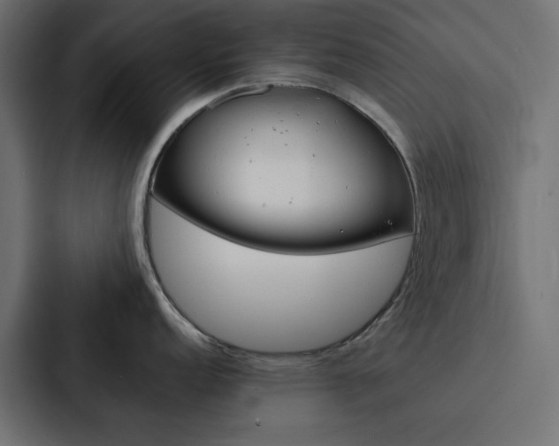 X0000088231152200705151044