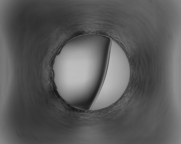 X0000088231153200705151043