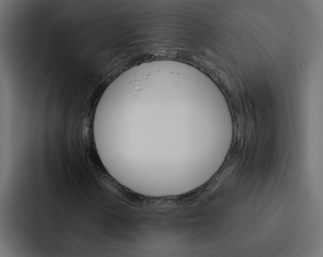 X0000088231154200705151043