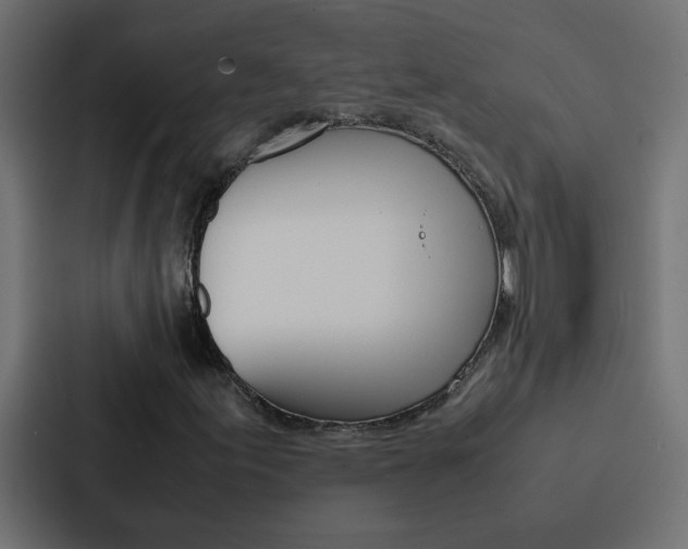 X0000088231155200705151043