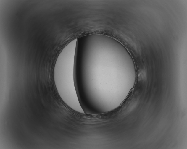 X0000088231156200705151043