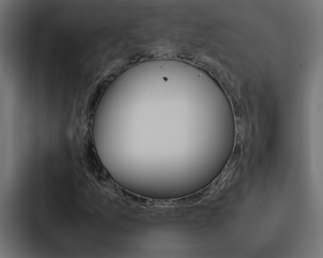 X0000088231157200705151043
