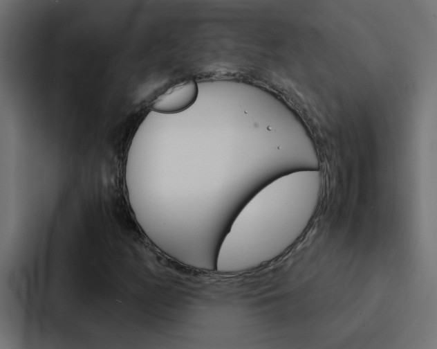 X0000088231158200705151043