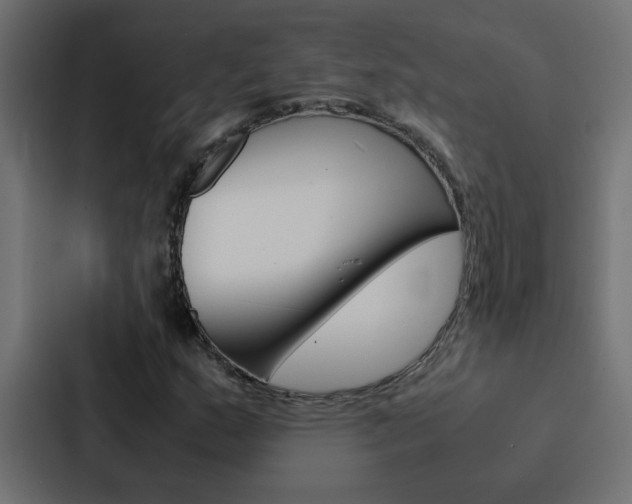 X0000088231159200705151043