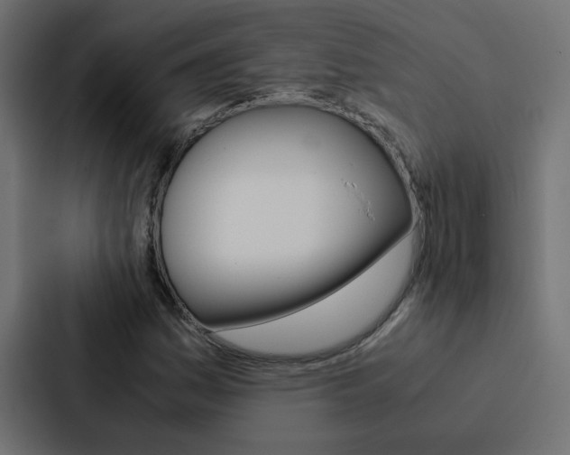 X0000088231161200705151043