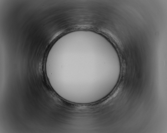 X0000088231162200705151043