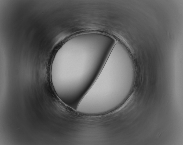 X0000088231163200705151043