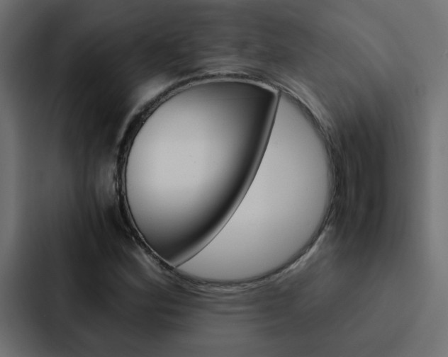 X0000088231164200705151043