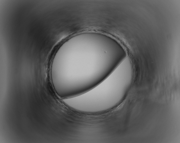 X0000088231165200705151043
