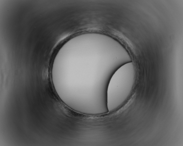 X0000088231166200705151043