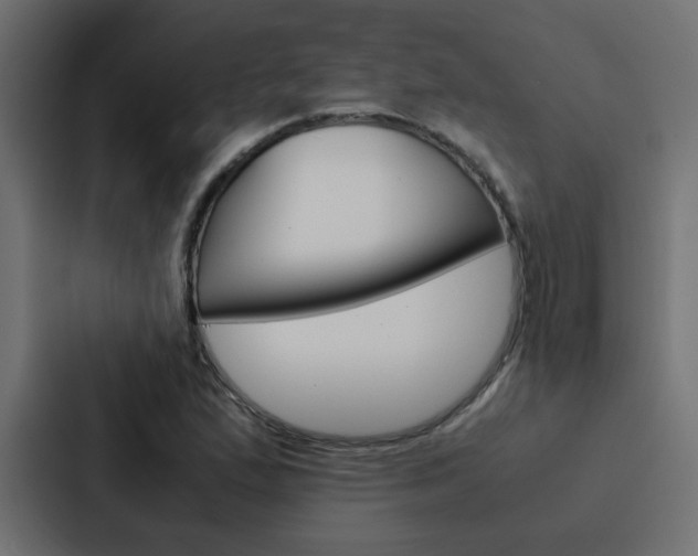 X0000088231167200705151043
